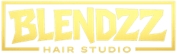 Blendzz logo
